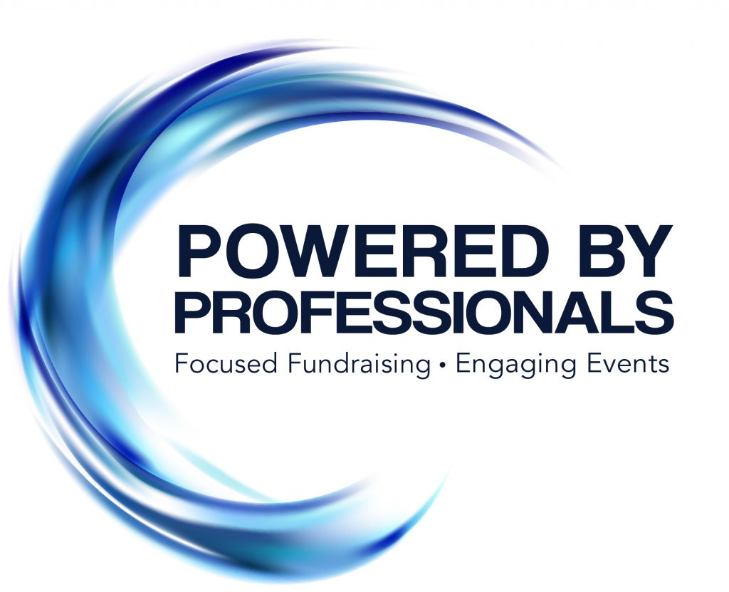 powered by professionals logo